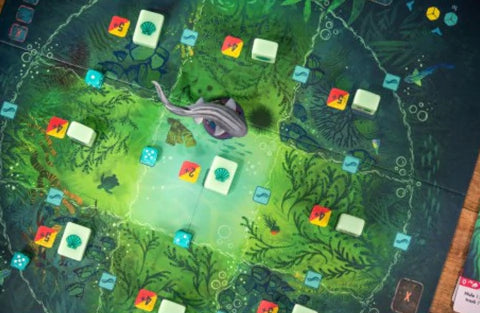 Kelp + Técnicas Brillantes