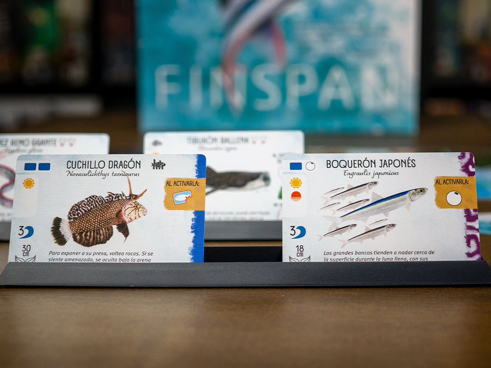 Finspan (Español) (Outlet 2)