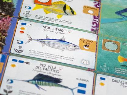 Finspan (Español) (Outlet 2)