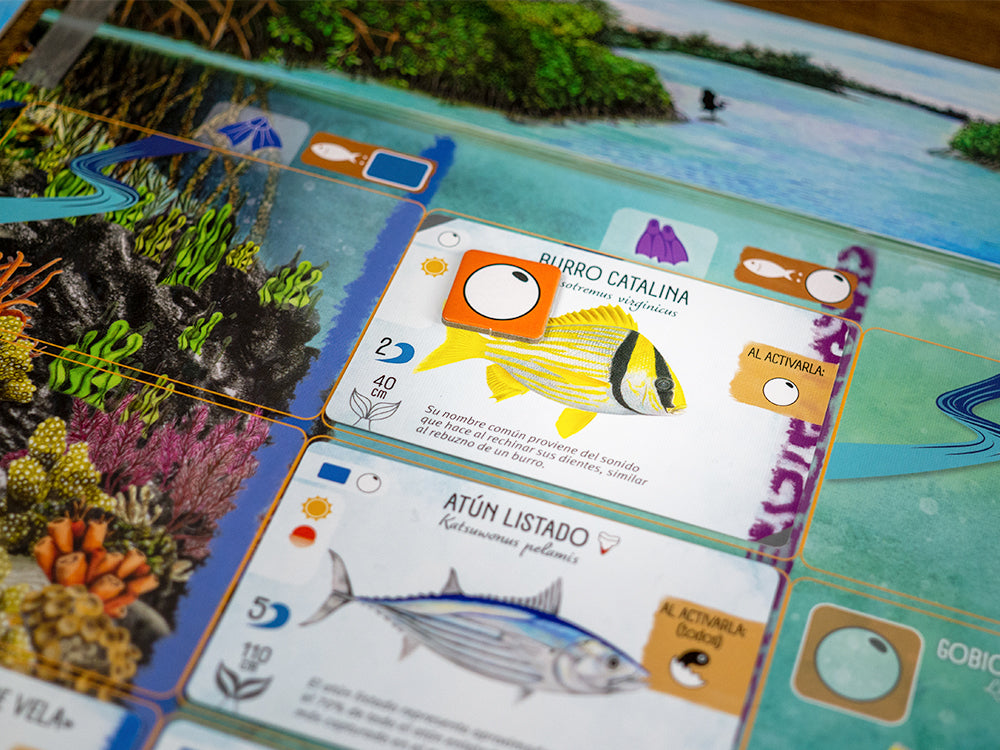 Finspan (Español) (Outlet 2)