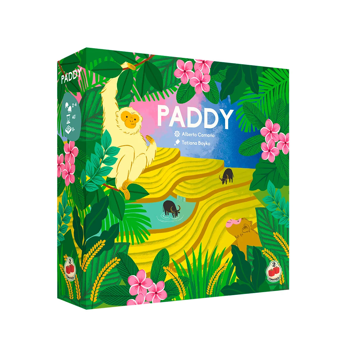 Paddy